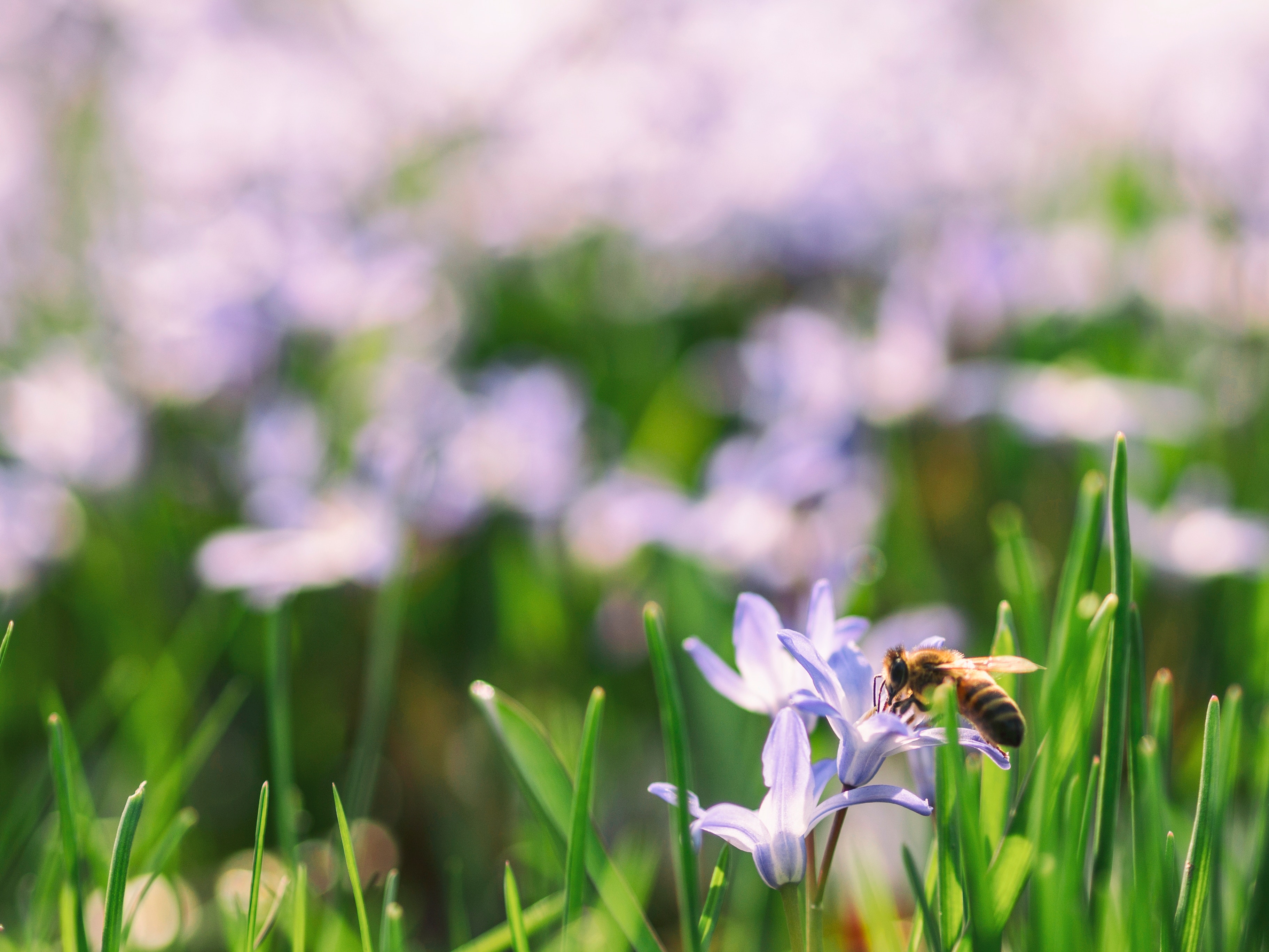 aaron burden 240280 unsplash