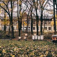 Septembar - radovi na pčelinjaku